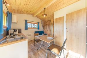索容Camping du Lac de Saujon的一个带桌子和水槽的小厨房