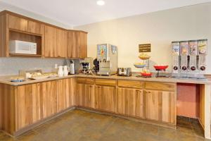 德雷珀德雷珀盐湖城华美达酒店的厨房配有木制橱柜和台面