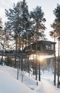 GranönGranö Beckasin的雪中树林里的树屋