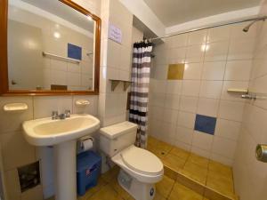 普诺Hostal Oscar Inn的一间带水槽、卫生间和镜子的浴室