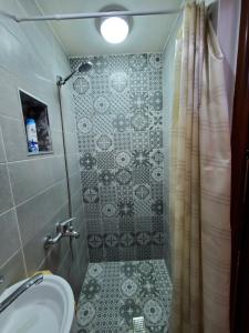 戈里察Relax Inn的一间带水槽和淋浴帘的浴室