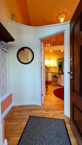 蒂米什瓦拉River Residence的一间设有门厅和镜子的房间