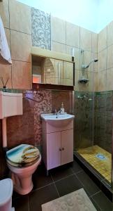 蒂米什瓦拉River Residence的浴室配有卫生间、盥洗盆和淋浴。