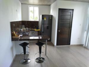 阿西斯港Aparta-Hotel LENEMBERGER的厨房配有冰箱和带凳子的台面