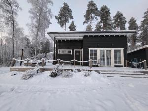 冬天的Lakehouse Oulu