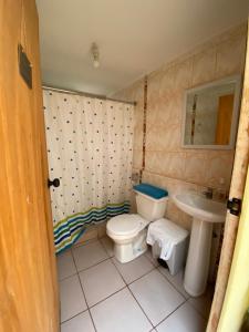 维库尼亚Casa grande Campestre, Vicuña, Valle del Elqui的一间带卫生间和水槽的浴室