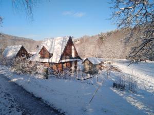 波兰尼卡-兹德鲁伊Rancho Vaquera的一座大木屋,屋顶上积雪