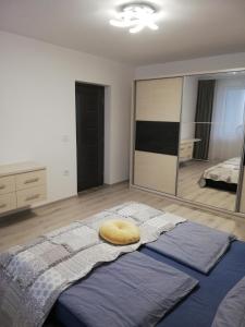 托普利察Apartament Raluca的一间卧室配有一张黄色枕头的床