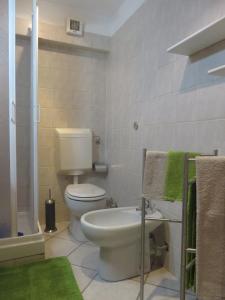 奥斯塔Alloggio turistico Maison S Anselme VDA Aosta CIR 0015的浴室设有卫生间和带绿色毛巾的淋浴。