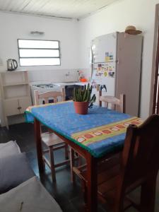 戈亚Departamento Satí的厨房里摆放着盆栽植物的桌子
