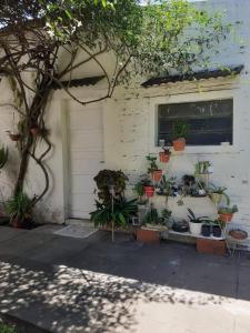 戈亚Departamento Satí的隔壁有一堆盆栽植物的房子