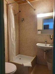 因特拉肯Downtown Apartment 9的带淋浴、盥洗盆和卫生间的浴室