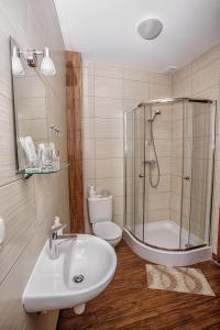 利沃夫Guest House "Arkhistratyg"的带淋浴、盥洗盆和卫生间的浴室