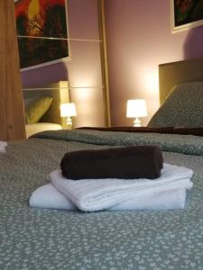 萨格勒布Apartman Goldy的铺在酒店客房床上的毛巾