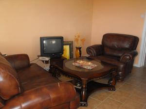 LaborieBelle View Apartment Villa- Lilac的客厅配有皮椅、桌子和电视