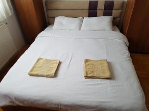 普里什蒂纳Redon Apartment的白色床上的2条毛巾