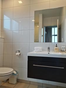 特卡波湖三河旅馆的一间带水槽、卫生间和镜子的浴室