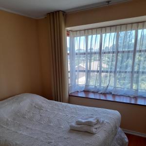 特木科Departamento Temuco Thiers的一间卧室设有一张床和一个大窗户