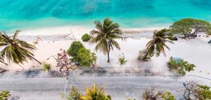 胡鲁马累Acacia Beach Hotel的享有棕榈树海滩和大海的空中景致