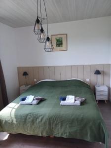 洛特河畔的维伦纽夫Domaine l'Esprit d'Antan的一间卧室配有绿床和2条毛巾