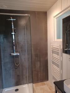 洛特河畔的维伦纽夫Domaine l'Esprit d'Antan的浴室里设有玻璃门淋浴