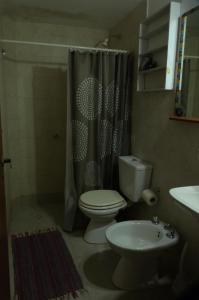 内科切阿Casa en Necochea的浴室配有卫生间、淋浴和盥洗盆。