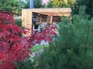 上鲁日巴希Chata Dorotka的花园种有红色植物,设有木制凉亭