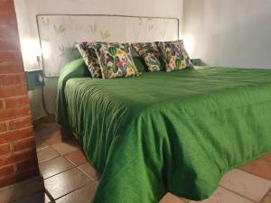 巴勒莫Casa Monviso Le fuoriserie的一张带绿毯和枕头的床