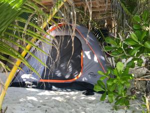 图卢姆Chavez Eco Beach Camping and Cabañas的沙滩上的空皮划艇
