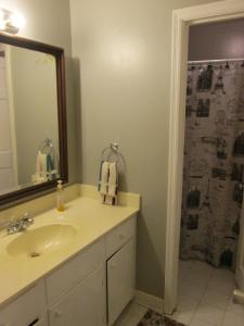 凯斯Cayce Charm Minutes to Downtown Columbia的浴室配有盥洗盆和带镜子的淋浴