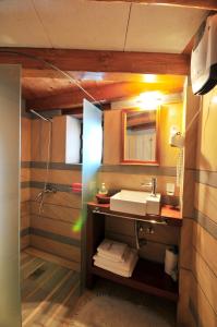 莫奈姆瓦夏Izambo Guest Houses的一间带水槽和淋浴的浴室