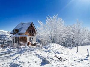 科帕奥尼克Vila Rajski kutak Kopaonik的一座被雪覆盖的房屋,有树木