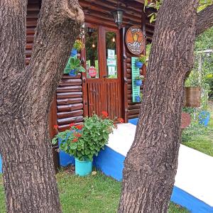 梅洛al pie del morro的小木屋,带花盆和两棵树