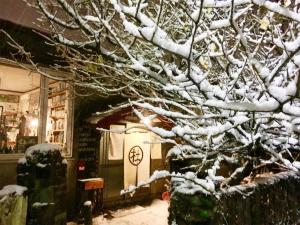 小樽The Otaornai Backpacker's Hostel Morinoki的商店前的雪覆盖的树