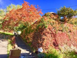 小樽The Otaornai Backpacker's Hostel Morinoki的山边的消防栓