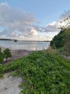 HithadhooThe Rose Garden House, Addu City, Maldives的相册照片