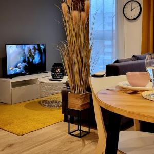 罗兹Apple Apartments - Wróblewskiego PRYWATNE MIEJSCE PARKINGOWE的客厅配有桌子和电视