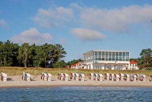 巴贝Ferienhaus Alt_Baabe的海滩上一组椅子,有一座建筑
