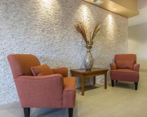 尼斯库埃德蒙顿国际机场康福特茵酒店的一间设有两把椅子和一张桌子上的花瓶的等候室