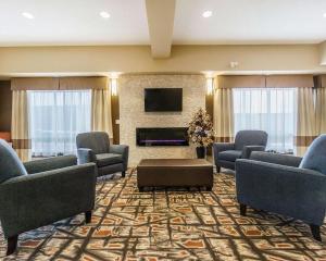 尼斯库埃德蒙顿国际机场康福特茵酒店的带沙发、电视和壁炉的客厅