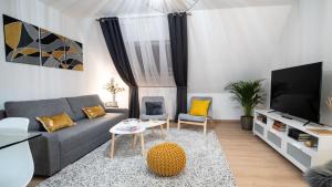 科尔马Superbe appartement au coeur du Colmar的带沙发和电视的客厅