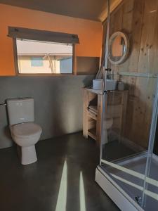 圣奥迪利恩贝赫Hoeve Linnerveld XL的一间带卫生间和玻璃淋浴间的浴室