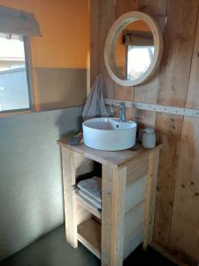圣奥迪利恩贝赫Hoeve Linnerveld XL的一间带水槽和镜子的浴室