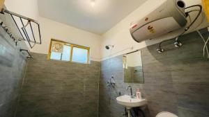 吉布Madpackers Jibhi的一间带水槽、卫生间和镜子的浴室
