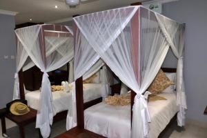 卡萨内Tlou Safari Lodge的卧室内的两张床,带白色窗帘