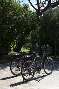 比居格利亚皮奈托酒店的两辆自行车停在路边,彼此相邻