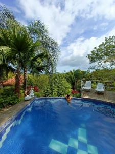 蒙特苏马Finca Los Caballos Montezuma的一个带两把椅子和棕榈树的大型蓝色游泳池