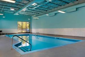 加蒂诺Best Western Plus Gatineau-Ottawa Downtown的蓝色墙壁的房间内的游泳池