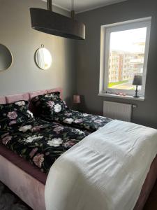 埃尔布隆格Apartament Sadowa 87 Garaż gratis !的一间卧室设有一张床和一个窗口