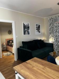埃尔布隆格Apartament Sadowa 87 Garaż gratis !的客厅配有黑色沙发和床。